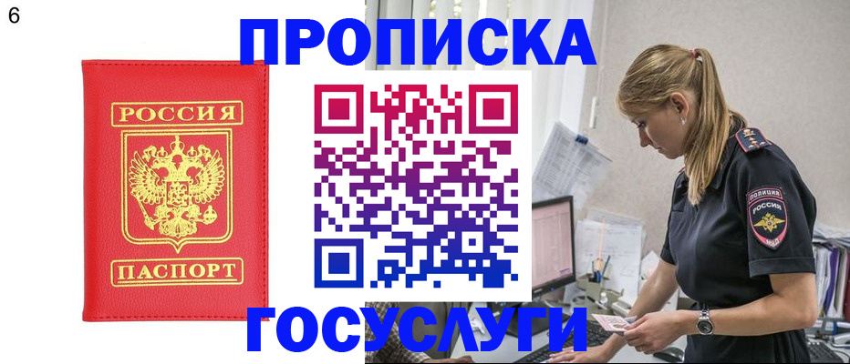 пропишу в квартире в Светлогорске